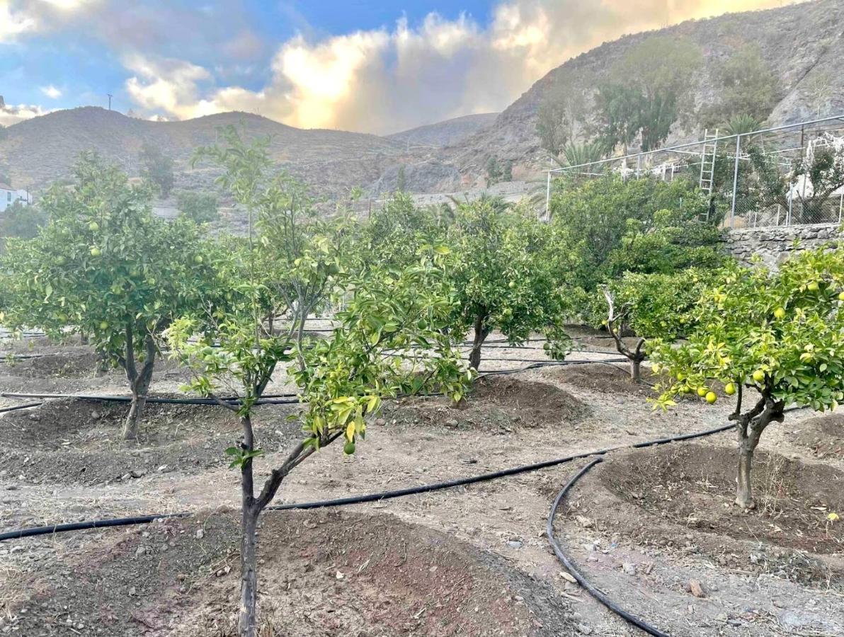Casa Rural La Limera Con Piscina Privada Santa Lucia Eksteriør billede