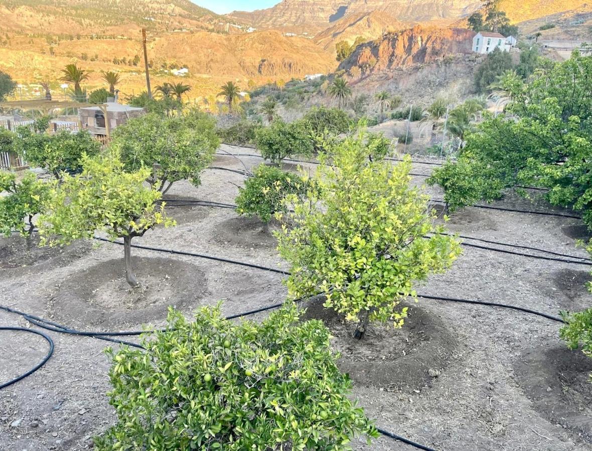 Casa Rural La Limera Con Piscina Privada Santa Lucia Eksteriør billede